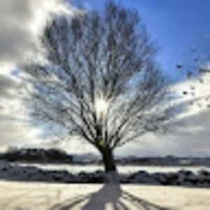 Meet your Posher, Mari